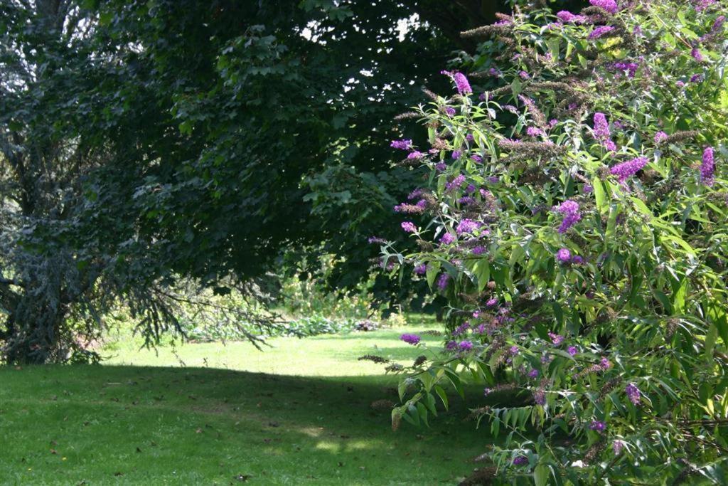 Bois Joli De La Freyere Bed & Breakfast Hindisheim Luaran gambar